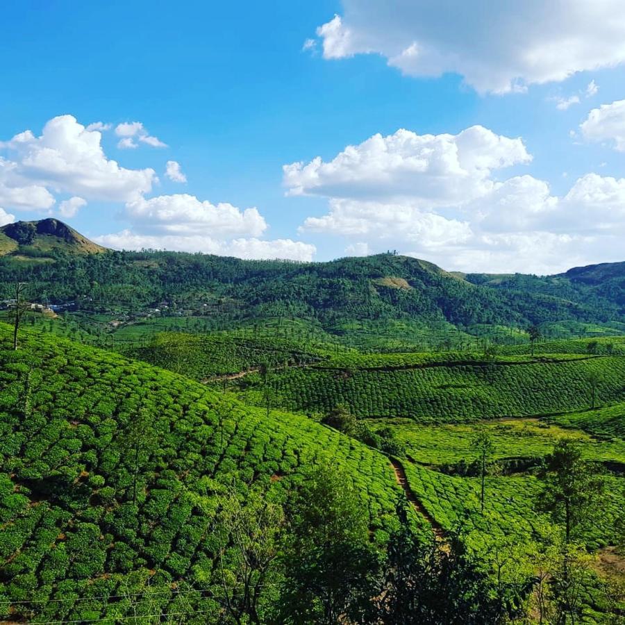 Mist Woods Vagamon Hotel Luaran gambar