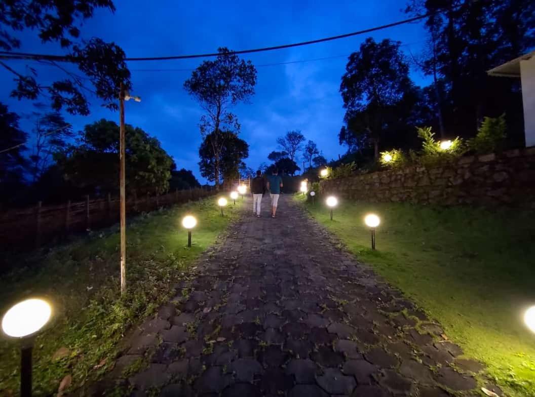 Mist Woods Vagamon Hotel Bilik gambar